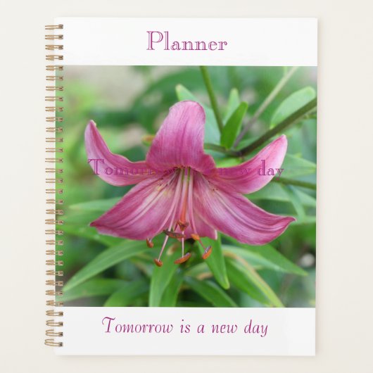 Planificateur de Beauté Rose (Devant)