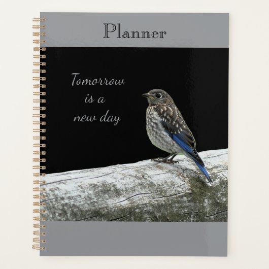 Planificateur de bébé oiseau (Devant)