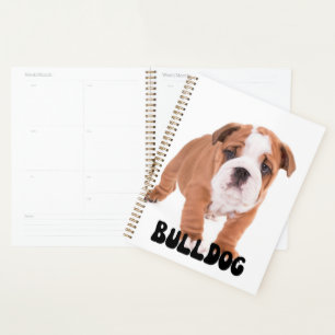 Planificateur de calendrier de chiot Bulldog migno