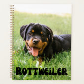 Planificateur de calendrier de chiot mûre Rottweil (Devant)