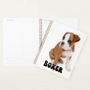Planificateur de calendrier des chipettes de boîte