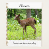 Planificateur de cerf (Devant)