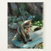 Planificateur de chats (Dos)