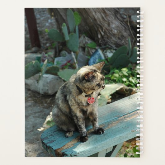 Planificateur de chats (Dos)