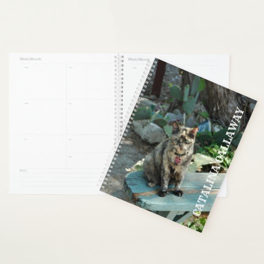 Planificateur de chats (Devant avec enveloppe)