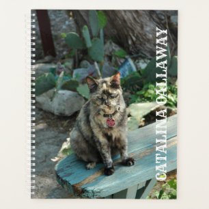 Planificateur de chats