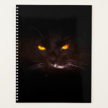 Planificateur de chats noirs