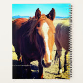 Planificateur de chevaux (Dos)