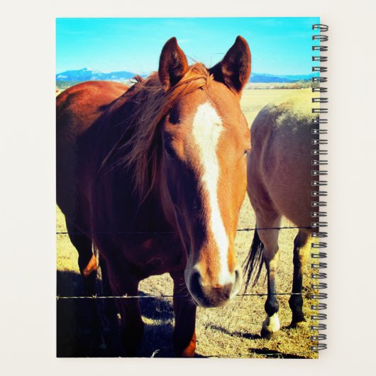 Planificateur de chevaux (Dos)