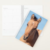 Planificateur de chevaux sauvages (Devant avec enveloppe)