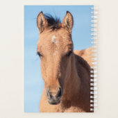 Planificateur de chevaux sauvages (Dos)