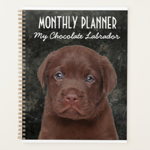 Planificateur de chocolat Labrador