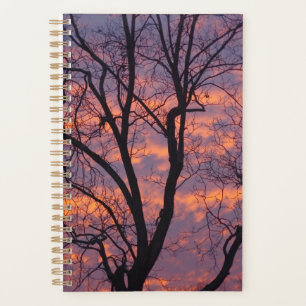 Planificateur de coucher de soleil hivernal