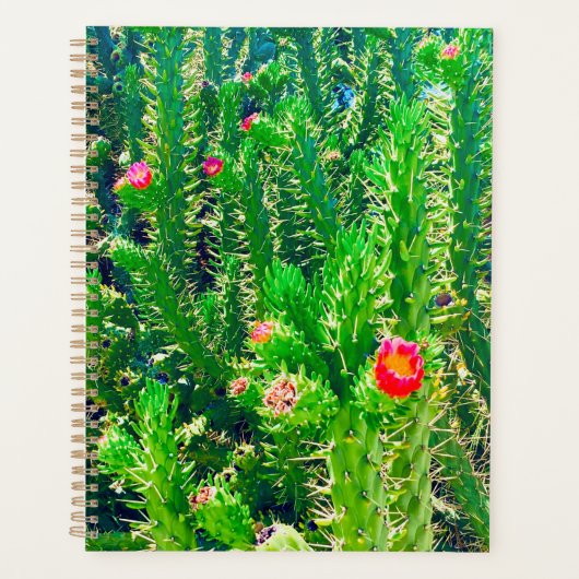 Planificateur de fleurs Cactus (Devant)