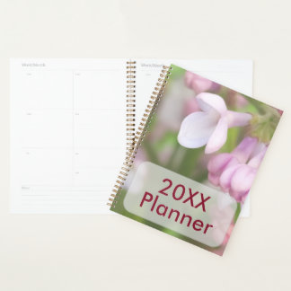 Planificateur de floraison de lilas