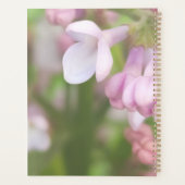 Planificateur de floraison de lilas (Dos)