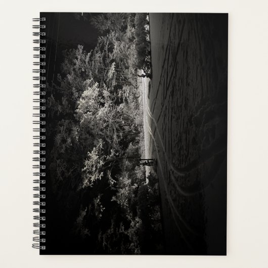 Planificateur de forêt enneigée de nuit (Devant)