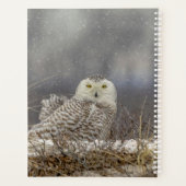 Planificateur de hiboux 2024 (Dos)