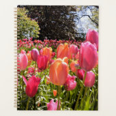 Planificateur de jardin Tulip (Devant)