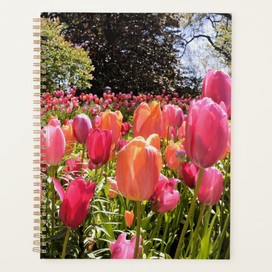 Planificateur de jardin Tulip (Devant)