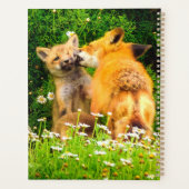 Planificateur de kits de renard roux | Art de la f (Dos)