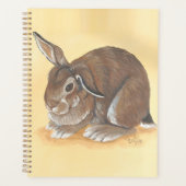 Planificateur de lapin (Devant)