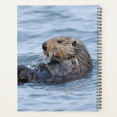 Planificateur de loutre (Dos)