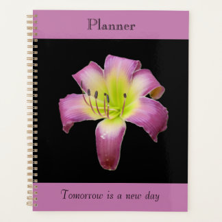 Planificateur de lys à teinte violette