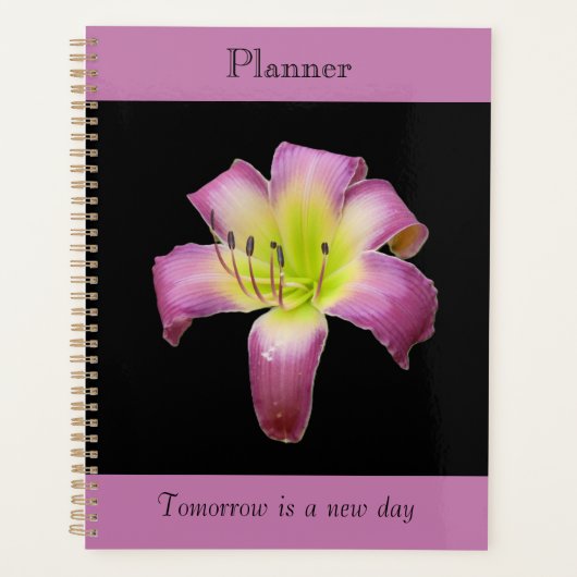 Planificateur de lys à teinte violette (Devant)