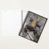 Planificateur de nature Komodo Dragon (Devant avec enveloppe)