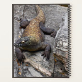 Planificateur de nature Komodo Dragon (Dos)