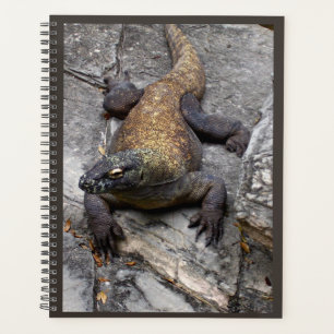 Planificateur de nature Komodo Dragon
