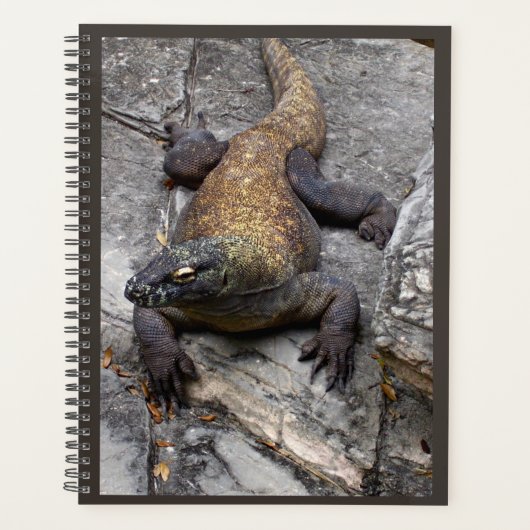 Planificateur de nature Komodo Dragon (Devant)