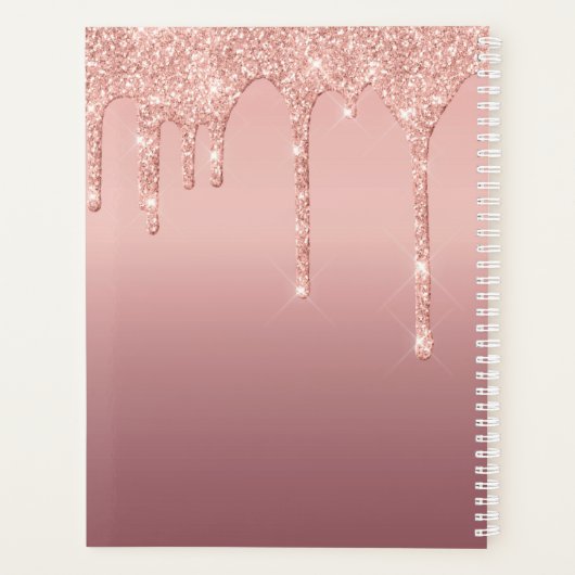 Planificateur de Parties scintillant Gold rose ave (Dos)