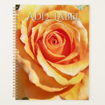 Planificateur de pêche abricot rose pour l'enseign