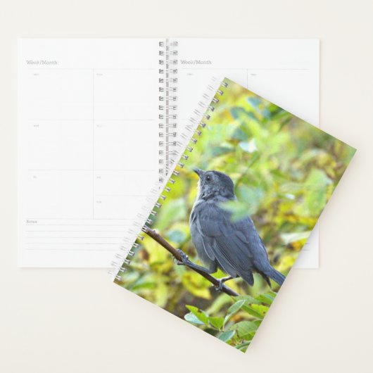 Planificateur de photos d'oiseaux (Devant avec enveloppe)