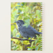 Planificateur de photos d'oiseaux (Dos)