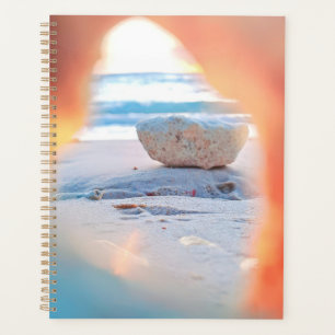 Planificateur de plage de corail tropical