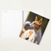 Planificateur de Podenco Ibicenco (Devant avec enveloppe)