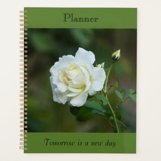Planificateur de rose autonome (Devant)