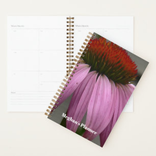 Planificateur de Rudbeckia pourpre - Photographie