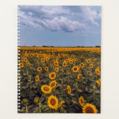 Planificateur de tempête de tournesol (Devant)