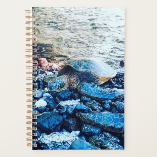 Planificateur de tortue dormante (Devant)