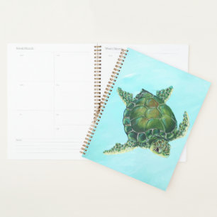 Planificateur de tortues marines