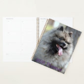 Planificateur de trompettes 2020 (Devant avec enveloppe)