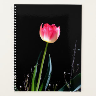 Planificateur de tulipe de printemps