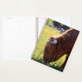 Planificateur de vache des Highlands - Thème Print (Devant avec enveloppe)