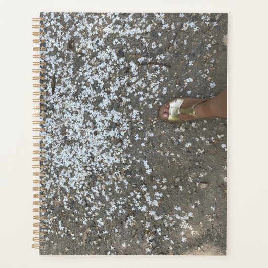 Planificateur des nouveaux débuts et des premières (Devant)