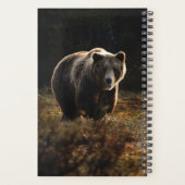 Planificateur d'ours (Dos)