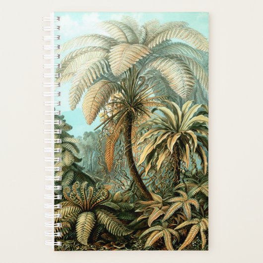 Planificateur Ernst Haeckel's Filicinae (Tree Fern (Devant)